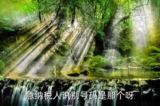 納稅人識別卡是什么，一般納稅人的IC卡的型號中JK100和JK300有什么區(qū)別