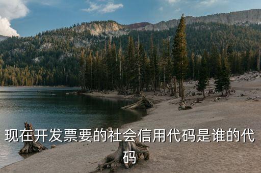 發(fā)票上有社會(huì)信用代碼是什么，現(xiàn)在開發(fā)票要的社會(huì)信用代碼是誰的代碼