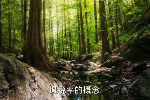 出口退稅率是什么意思，出口退稅率是什么意思啊什么樣的人要交呢