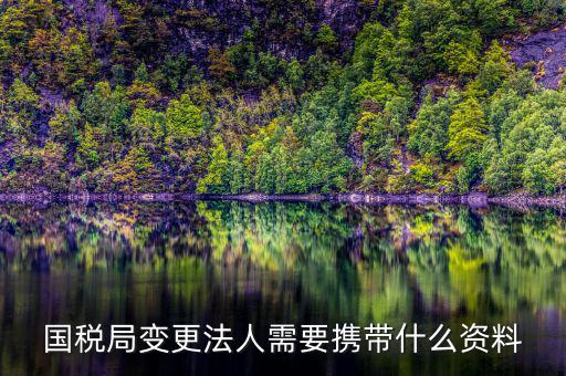 稅務(wù)變更法人需要什么資料，國(guó)稅局變更法人需要攜帶什么資料