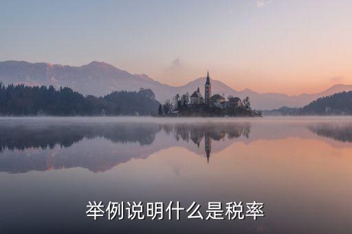 稅率說明是什么意思，稅率是什么意思