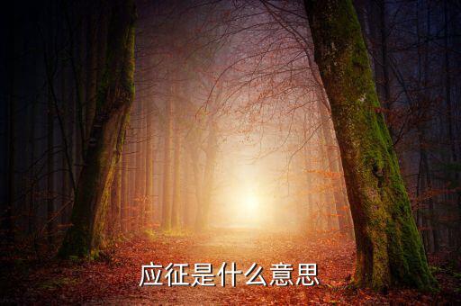 應(yīng)征發(fā)生日期什么意思，應(yīng)征的意思