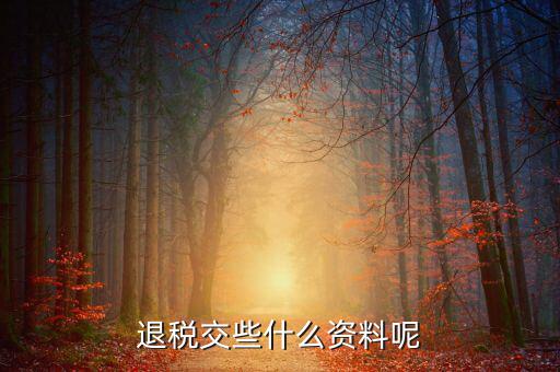 退稅退現(xiàn)金要提供什么資料，退稅交些什么資料呢