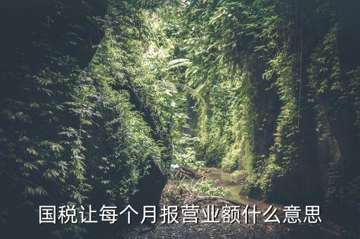 國(guó)稅每月報(bào)稅的是什么意思，請(qǐng)問(wèn)每月抄稅和報(bào)稅各是什么意思