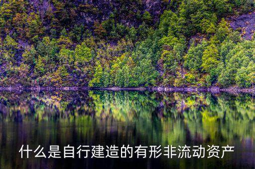 什么叫自建不動產(chǎn)，自建不動產(chǎn)不共擔(dān)風(fēng)險的投資行為