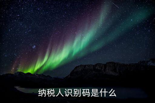 稅務(wù)人識(shí)別號是什么意思，稅納人識(shí)別號是什么東東