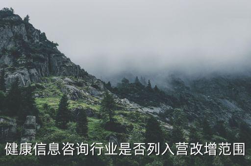 什么時候什么營改增的，營改增的會計范圍及會計處理