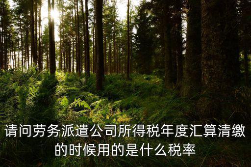 派遣選擇什么稅目，勞務(wù)派遣公司應(yīng)交什么稅種