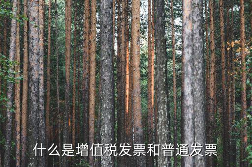 增值稅普通發(fā)票卷票是什么，卷票和普通增值稅發(fā)票有什么區(qū)別嗎