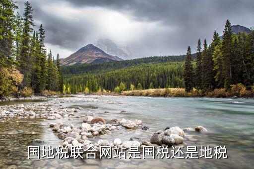 國地稅聯(lián)合是什么，國地稅聯(lián)合稅費(fèi)申報(bào)什么意思