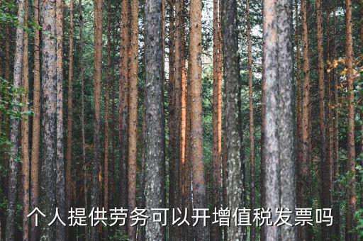 什么是個人勞務發(fā)票嗎，個人開工程勞務費發(fā)票是在工程所在地開具嗎