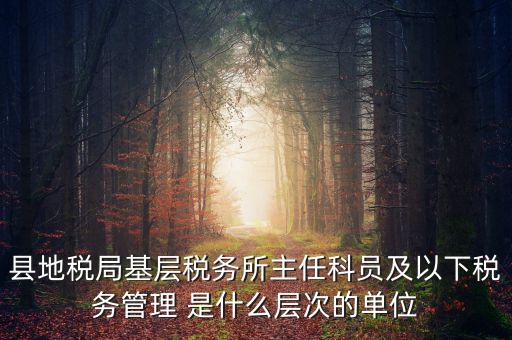 地稅局主任干什么，在地稅局工作寫材料具體是怎么工作
