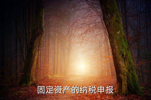 固定資產的納稅申報