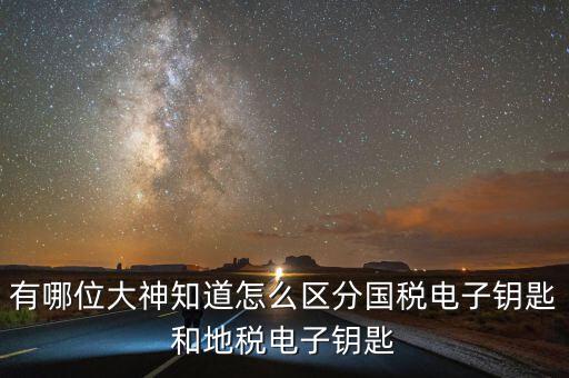 國稅電子鑰匙是什么，稅務密鑰是什么東西是數(shù)字證書嗎