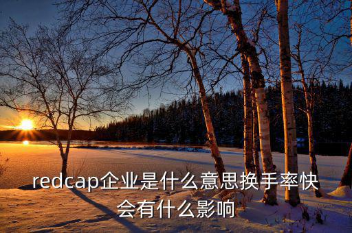 大企業(yè)局是什么意思，廣東省地稅網(wǎng)上的財務(wù)報表中的大企業(yè)局數(shù)據(jù)報送是指什么
