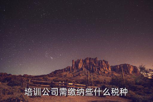 培訓機構依據(jù)什么納稅，培訓單位按什么標準納稅