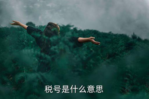 納稅號碼是什么意思，稅號是什么意思