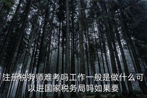 什么是稅務(wù)師，注冊(cè)稅務(wù)師能干什么待遇怎么樣