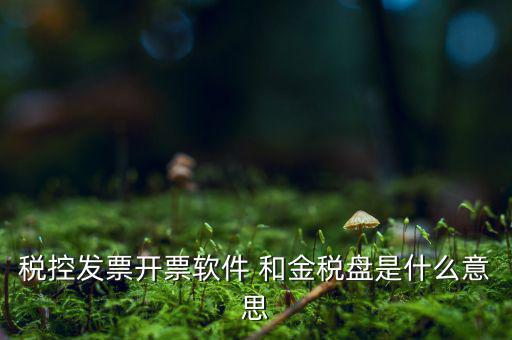 稅控系統(tǒng)指什么，稅控發(fā)票開票軟件 和金稅盤是什么意思