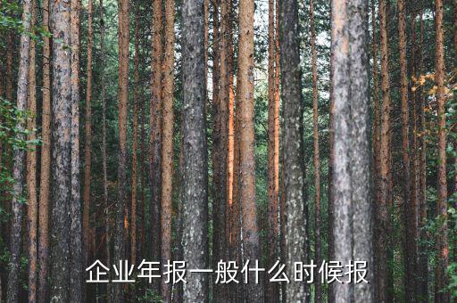 財(cái)務(wù)年報(bào)什么時(shí)候報(bào)，企業(yè)財(cái)務(wù)會(huì)計(jì)報(bào)告什么時(shí)間出具
