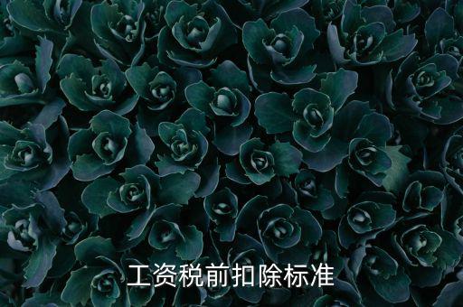 什么是稅前扣除標(biāo)準(zhǔn)，請問差旅費(fèi)稅前扣除標(biāo)準(zhǔn)是什么