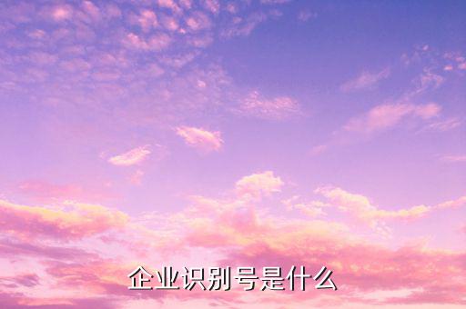 查詢公司什么納稅人識(shí)別號(hào)，納稅人識(shí)別號(hào)怎么查啊