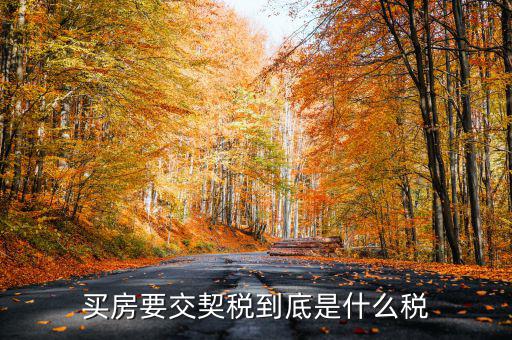 契稅的征稅范圍是什么，契稅的征稅范圍主要有哪些