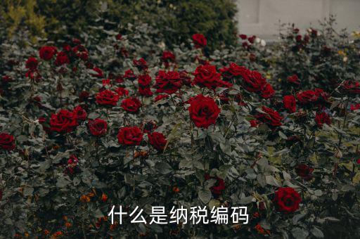 稅收編號(hào)是什么，什么是納稅編碼