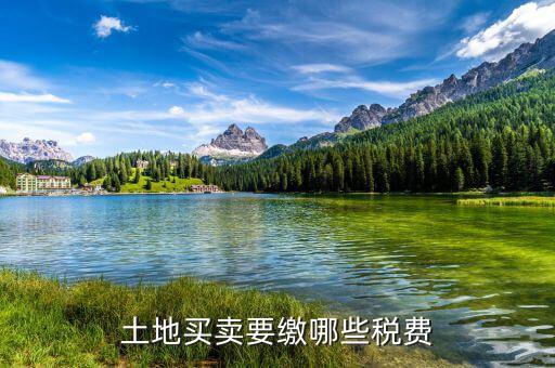 公司買(mǎi)地需要交什么稅，房地產(chǎn)開(kāi)發(fā)公司買(mǎi)土地要交什么稅