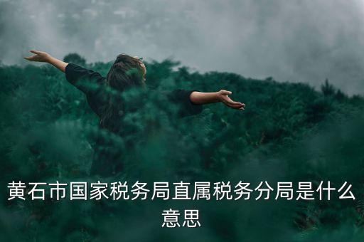 國稅直屬分局是什么局，國稅局是什么單位