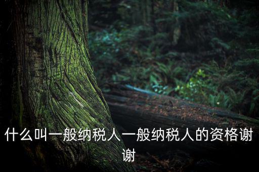 什么是一般納稅人資格證嗎，什么叫一般納稅人一般納稅人的資格謝謝