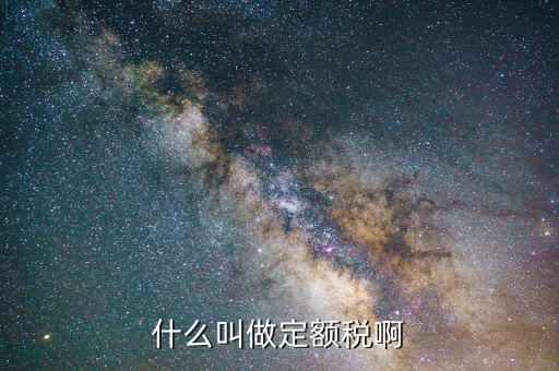 定額定稅是什么意思，什么叫做定額稅啊