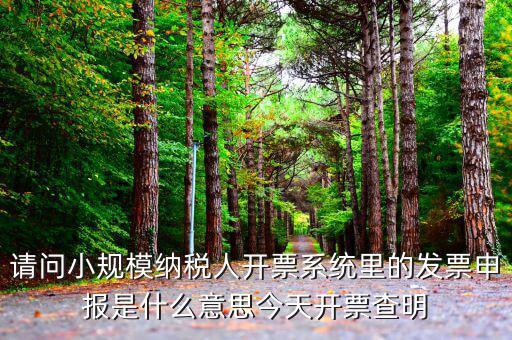 稅票申報(bào)是什么意思，納稅申報(bào)與申報(bào)納稅是一個(gè)意思嗎都是代理記賬的業(yè)務(wù)范疇嗎  搜