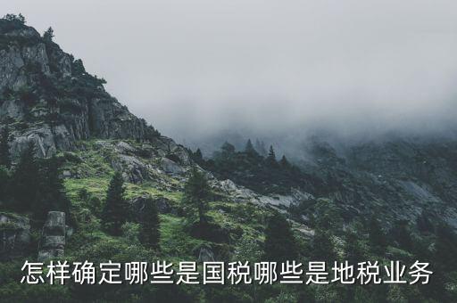 業(yè)務地稅是什么，地稅申報中業(yè)務種類是什么