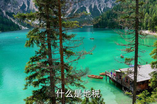 地稅系統(tǒng)是什么，地稅開票系統(tǒng)