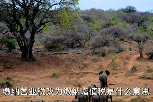 營(yíng)業(yè)稅改為增值稅是什么意思，營(yíng)業(yè)稅改增值稅指的是什么