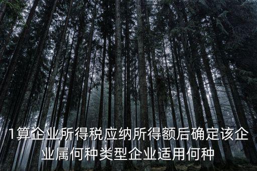 什么企業(yè)屬于小微企業(yè)所得稅，企業(yè)所得稅小微企業(yè)所得稅