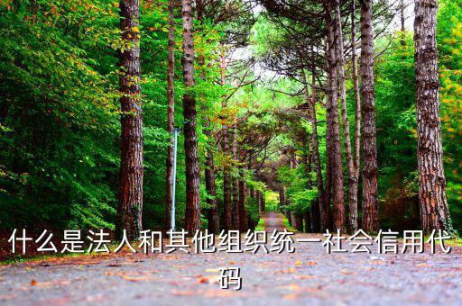 機(jī)關(guān)有社會(huì)信用代碼是什么意思，社會(huì)信用代碼與機(jī)構(gòu)信用代碼有什么不同
