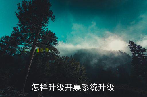 開票用什么軟件升級，怎樣升級開票系統(tǒng)升級