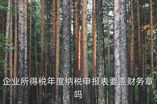 所得稅年報(bào)要蓋什么章，企業(yè)所得稅年度納稅申報(bào)表要蓋財(cái)務(wù)章嗎