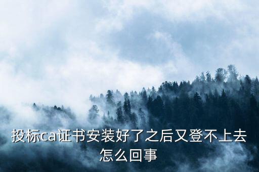 ca登陸不上是什么原因，登不上是怎么回事