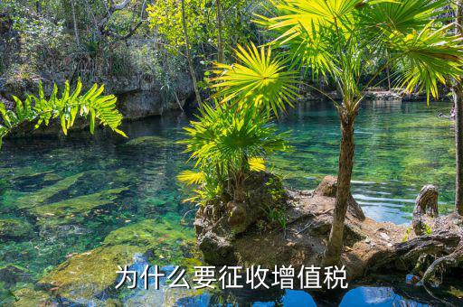 境外勞務(wù)為什么要交增值稅，為什么要交增值稅