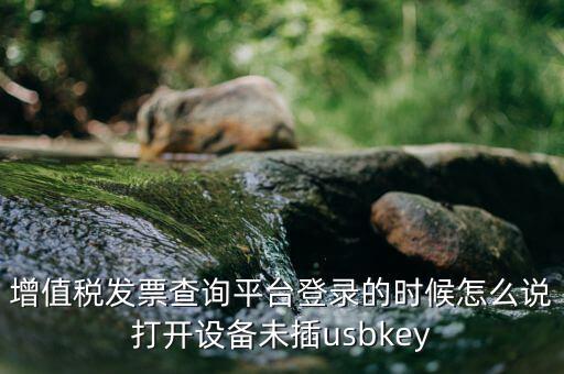 金稅盤登陸口令是什么，增值稅發(fā)票查詢平臺登錄的時候怎么說打開設備未插usbkey
