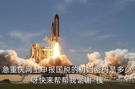 網上國稅申報的密碼是什么，急重慶網上申報國稅的初始密碼是多少呀快來幫幫我謝謝  搜