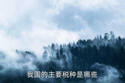 中國(guó)三大稅收是什么，中國(guó)境內(nèi)的稅收種類(lèi)