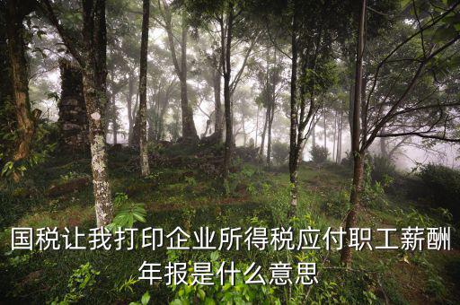 所得稅年報(bào)是什么意思，企業(yè)所得稅年報(bào)是什么意思怎么報(bào)去年4個(gè)季度都報(bào)了呀我是