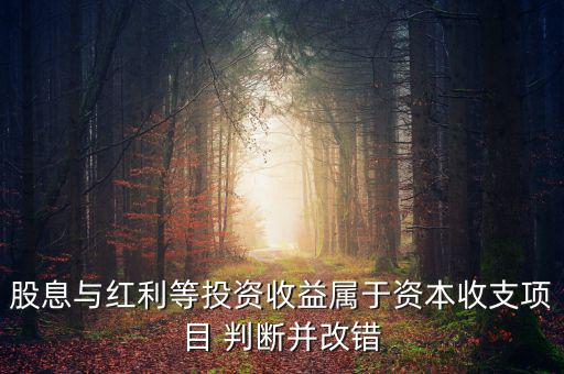 股息紅利等投資收益屬于什么，股息與紅利等投資收益屬于資本收支項(xiàng)目 判斷并改錯(cuò)