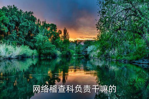 網(wǎng)絡(luò)稽查科負責干嘛的