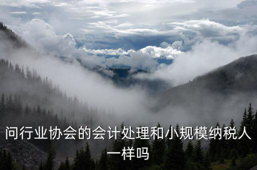 行業(yè)協(xié)會為什么納稅人，問行業(yè)協(xié)會的會計處理和小規(guī)模納稅人一樣嗎