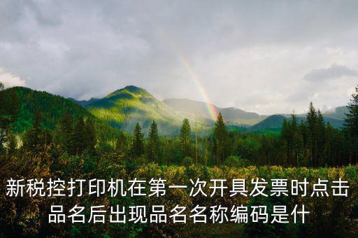 發(fā)票 商品編碼是什么，發(fā)票號(hào)碼和發(fā)票代碼是什么我的發(fā)票上只有單據(jù)編碼和貨品編號(hào)啊